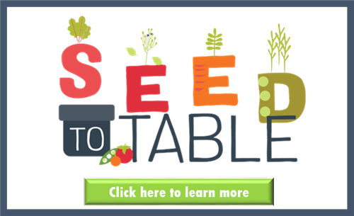 Text reads Seed To Table with fruit and vegetables around the text