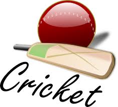Cricket 