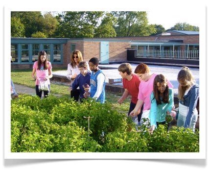 Middle School Vegetable Garden 