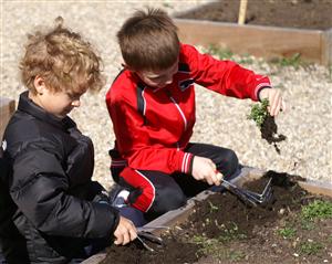 Gardening 