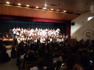 chorus 