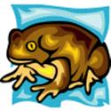 Mr. Toad 