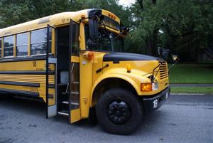 School Bus 