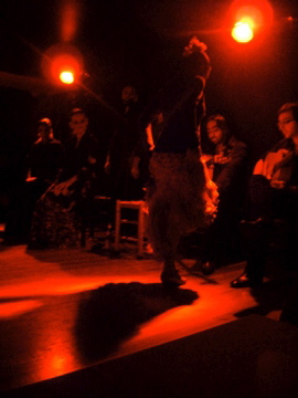Flamenco 
